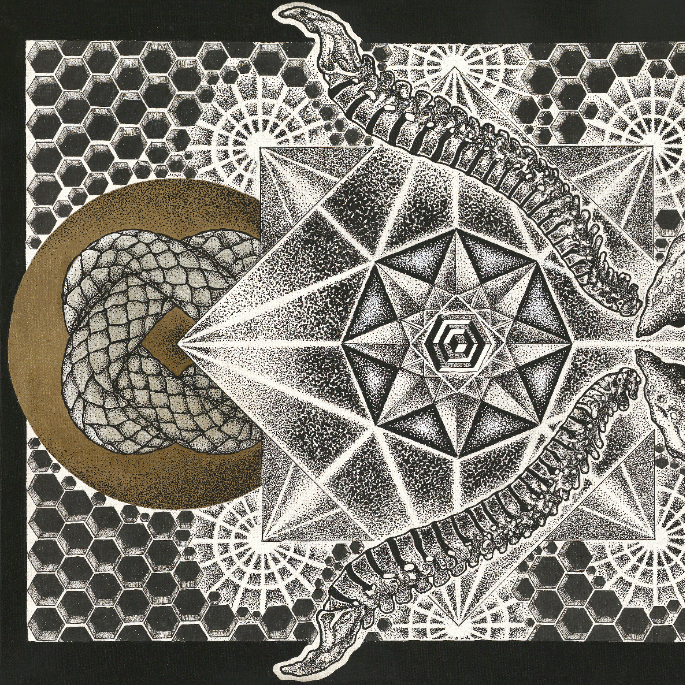 PLEROMA222 part1 artwork