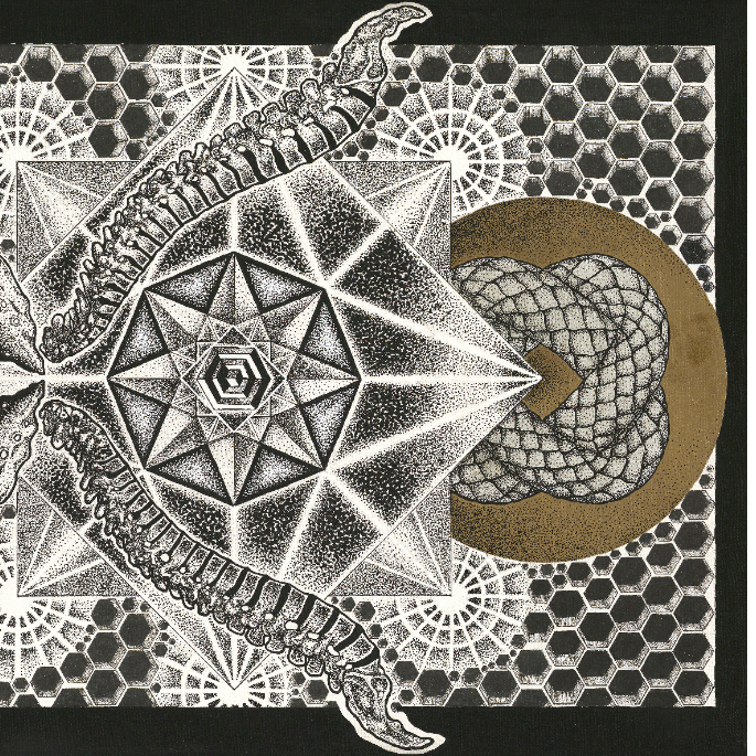 PLEROMA222 part3 artwork